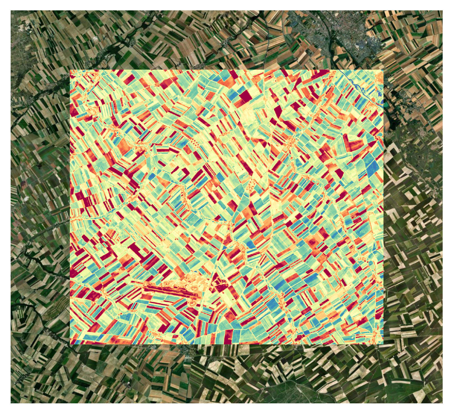 vegetation monitoring